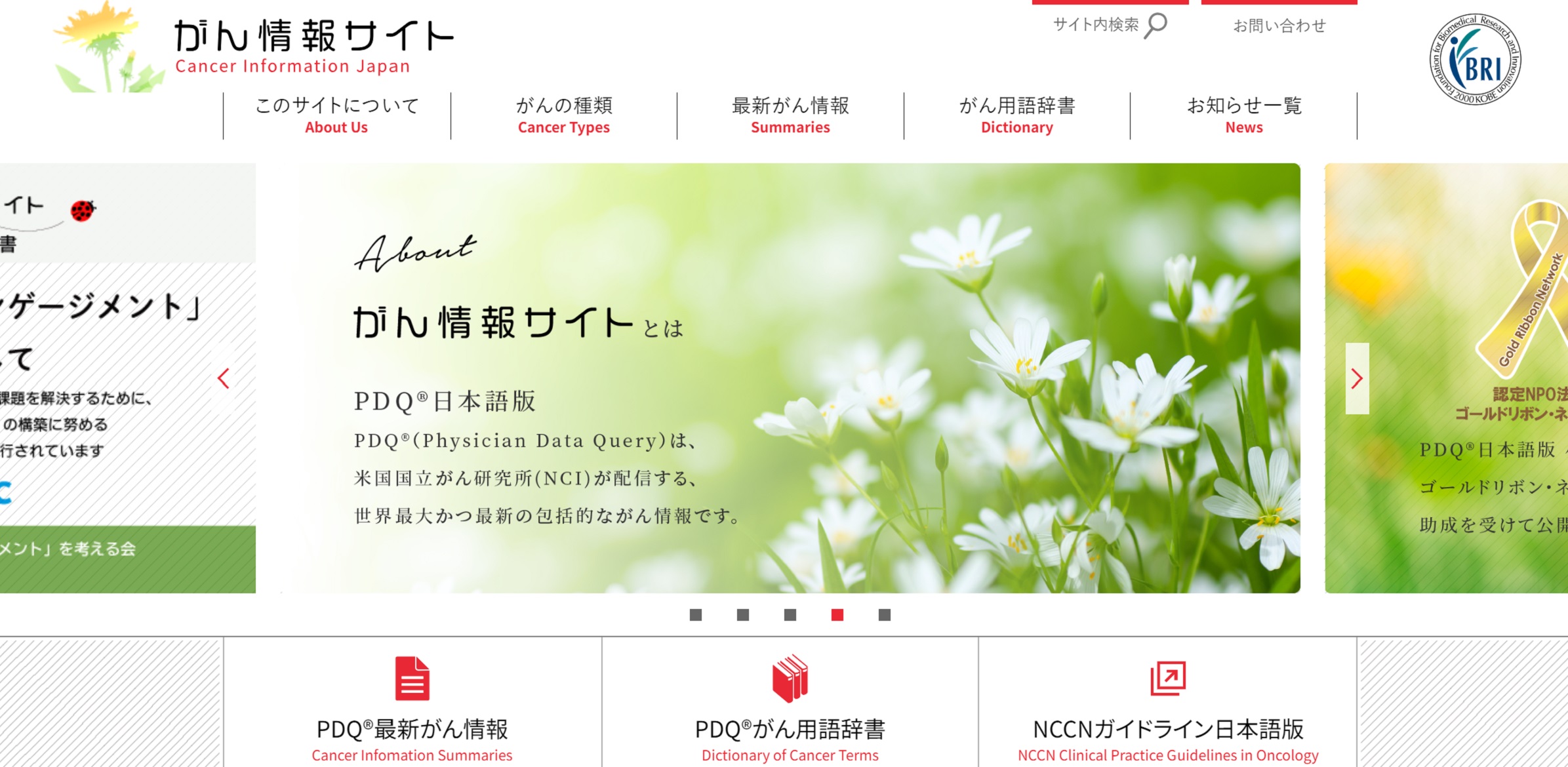 がん情報サイト | PDQ®日本語版